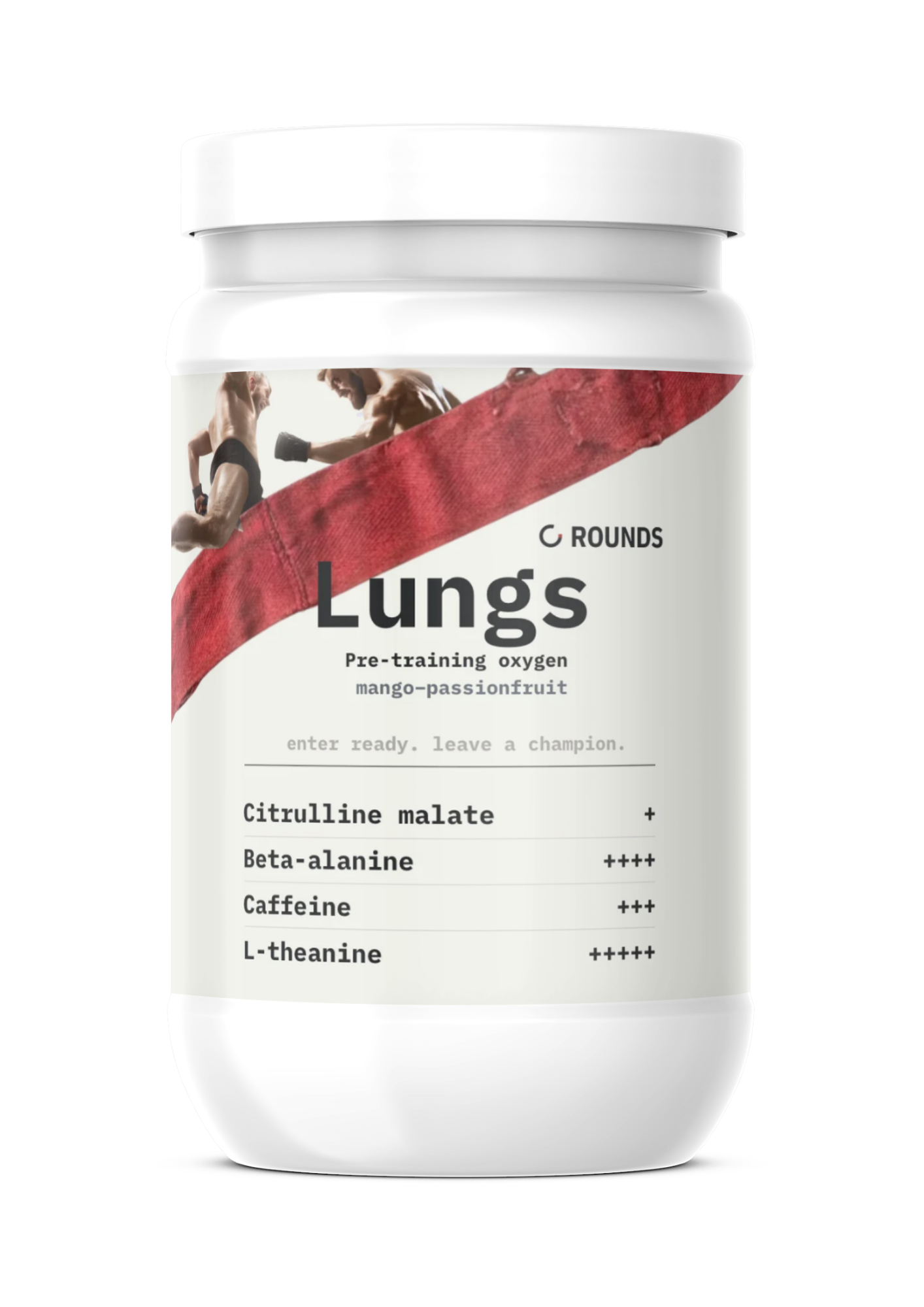LUNGS — Pre-training